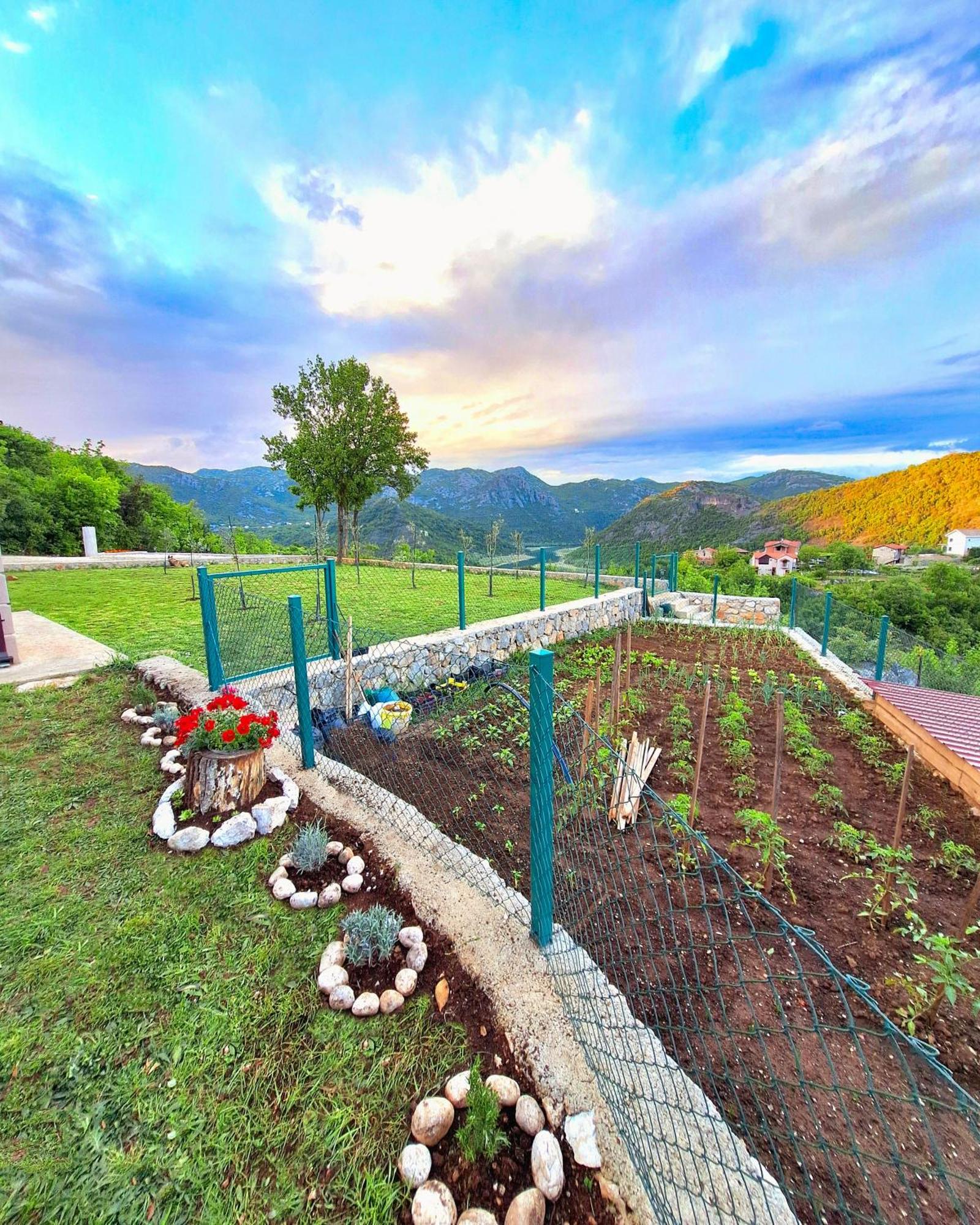 Sunny Side Apartments Rijeka Crnojevića 외부 사진